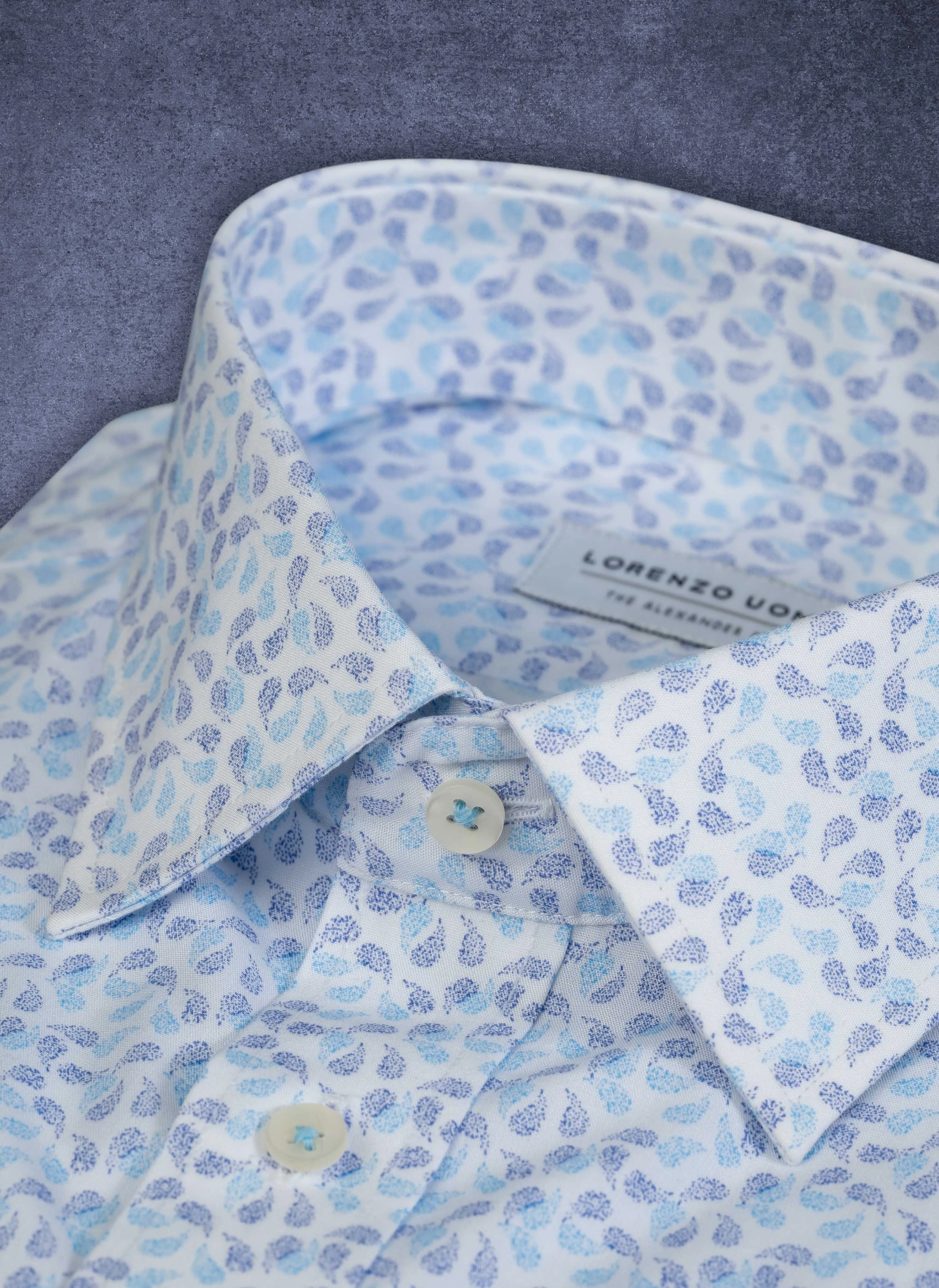 Alexander in Printed Blue "Paisley Spray" Shirt