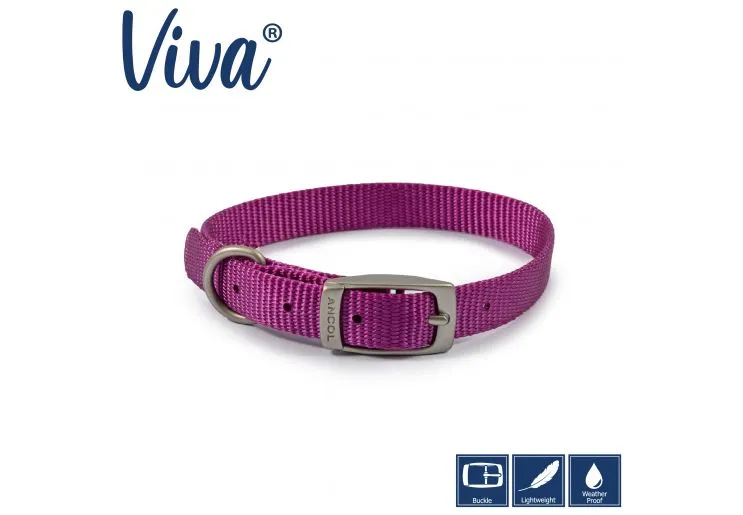 Ancol - Viva Nylon Buckle Collar - Lime - Size 3 (28-36cm)