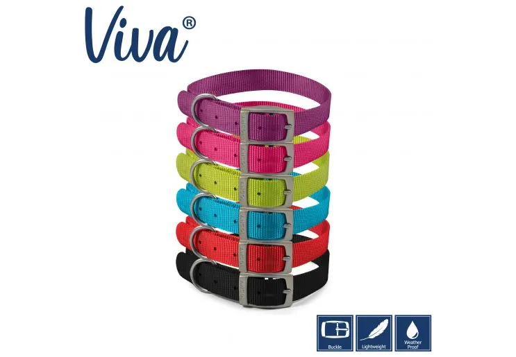 Ancol - Viva Nylon Buckle Collar - Lime - Size 3 (28-36cm)