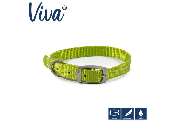 Ancol - Viva Nylon Buckle Collar - Lime - Size 3 (28-36cm)