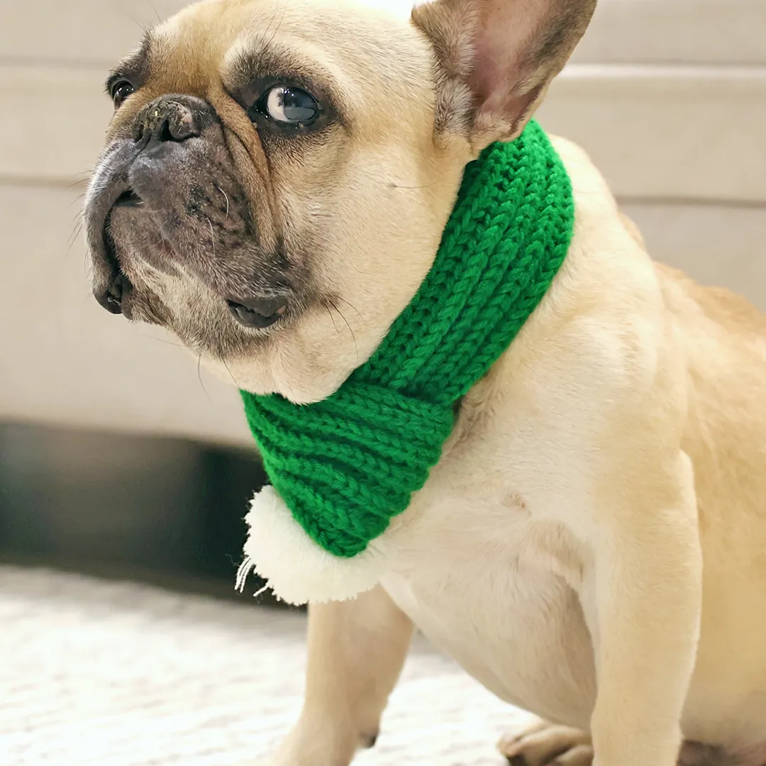 Christmas Sweater   Beanie Combo