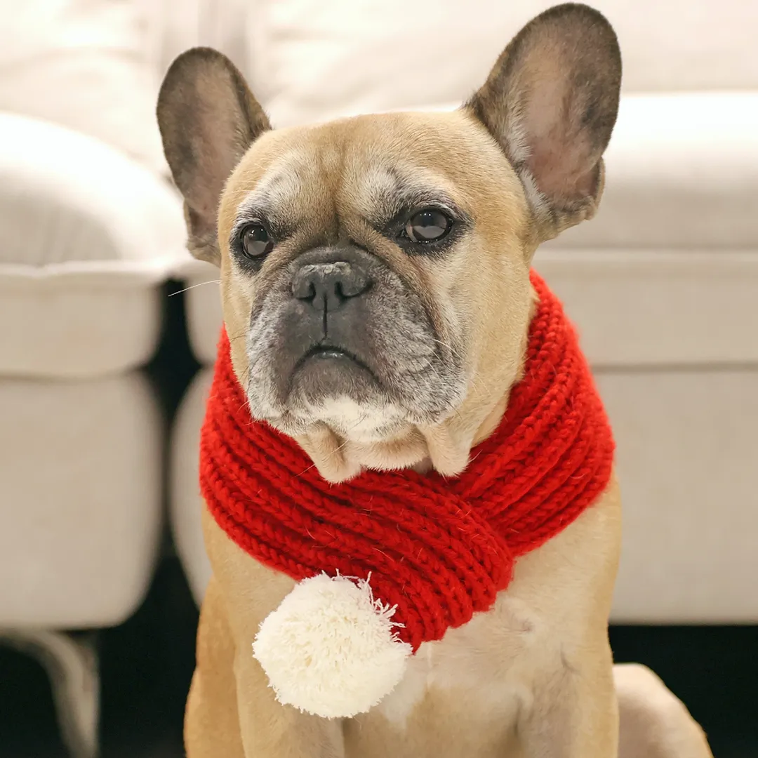 Christmas Sweater   Beanie Combo