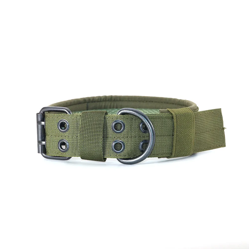 Copybook Dog Collar Medium And Large Dog Dog Collar Collar Collar Collar