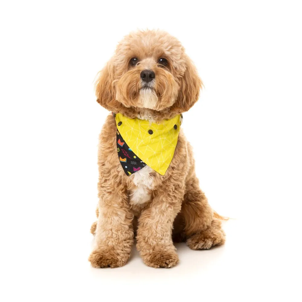 FuzzYard Pet Bandana (Bel Air)