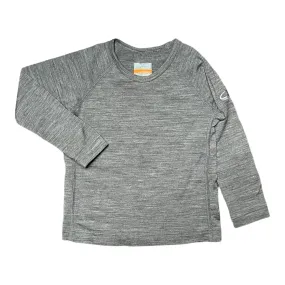 Ice Breaker Merino Base Layer Shirt