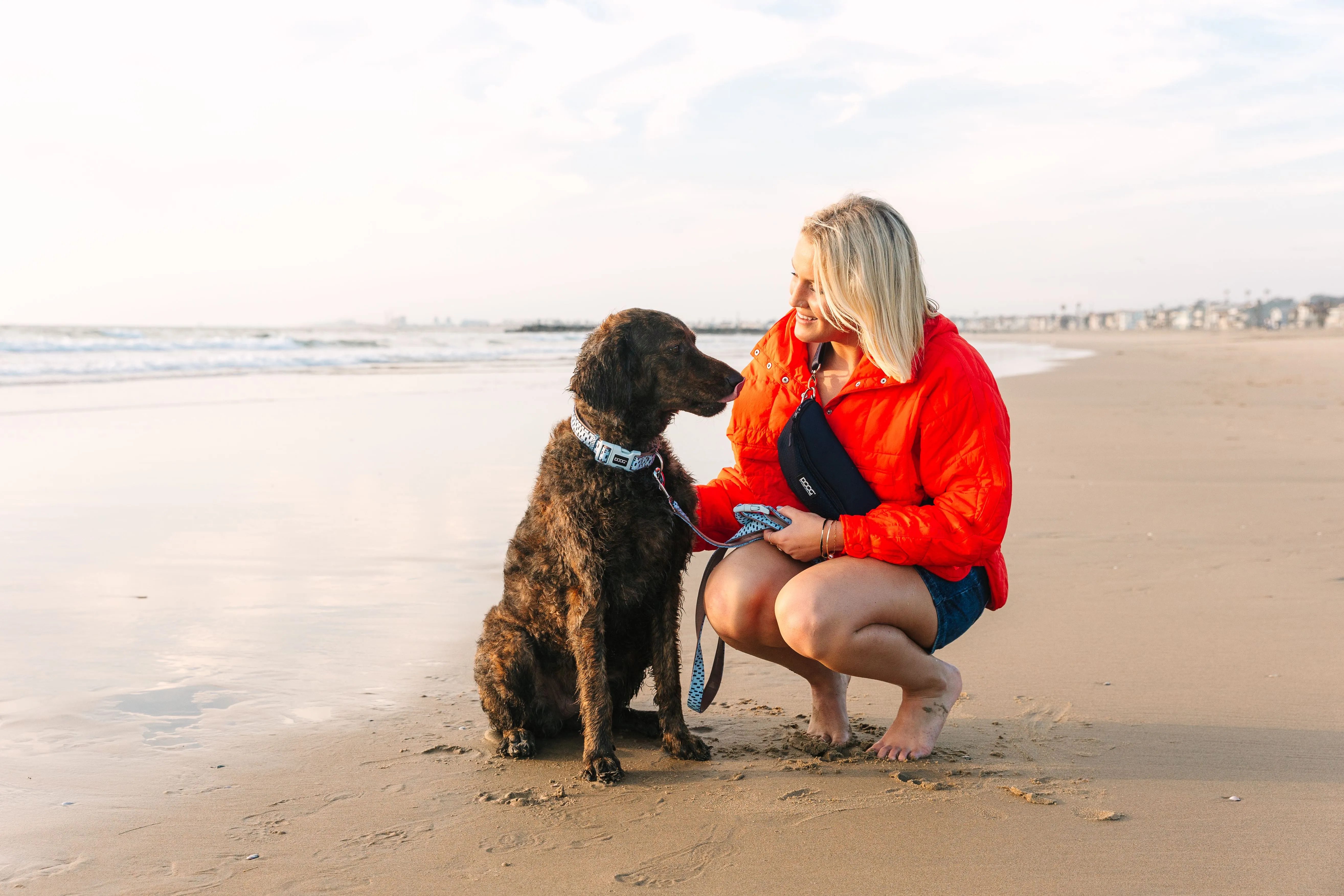 Neoprene Dog Collar - Scout