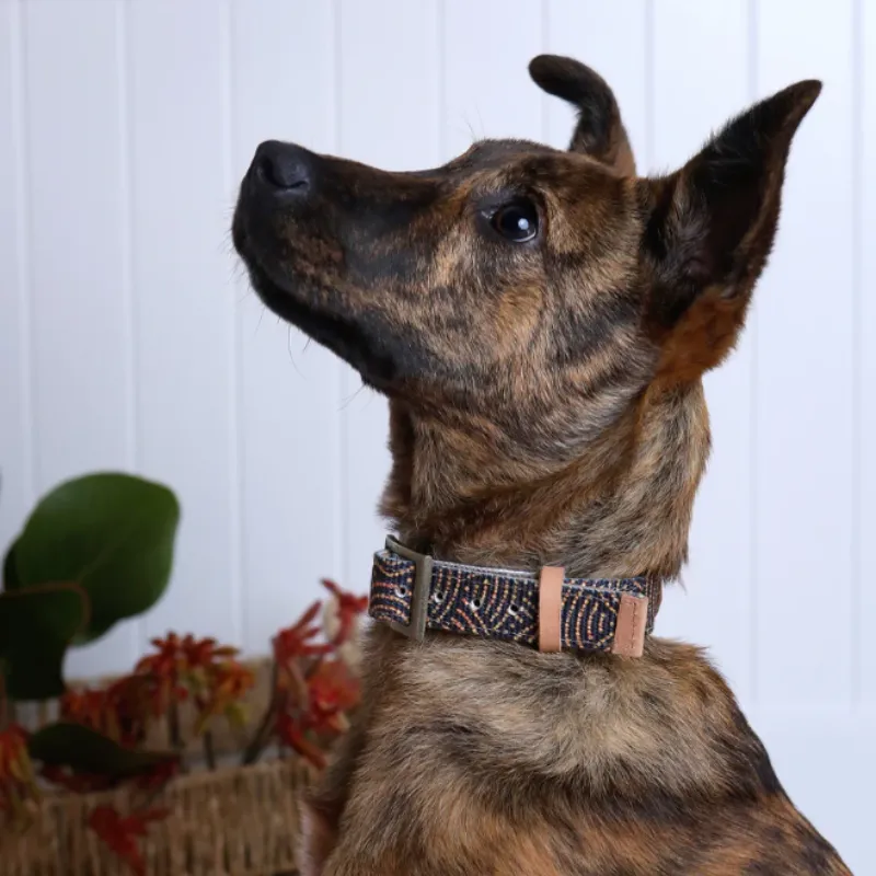 Outback Tails Leather Dog Collar