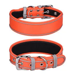 PAWS ASIA Factory Fancy Print Waterproof Thick Colorful Personalized Reflective Large Dog Collar