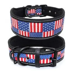 PAWS ASIA Factory Fancy Print Waterproof Thick Colorful Personalized Reflective Large Dog Collar