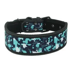 PAWS ASIA Factory Fancy Print Waterproof Thick Colorful Personalized Reflective Large Dog Collar