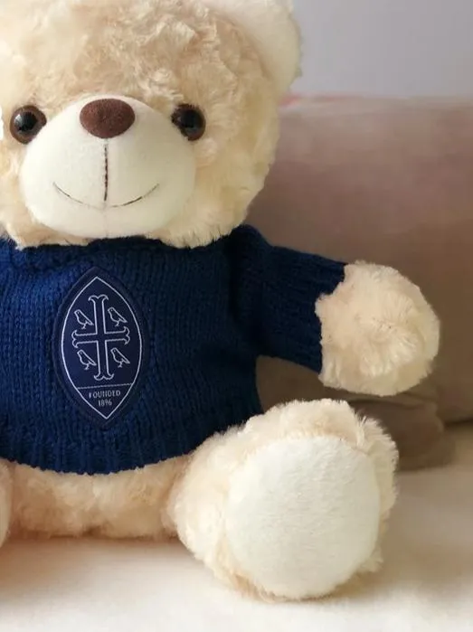 plush toy bear customized