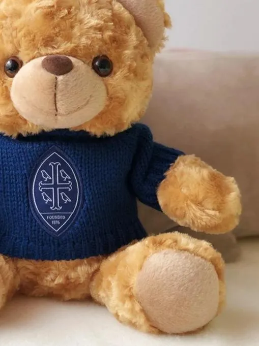 plush toy bear customized