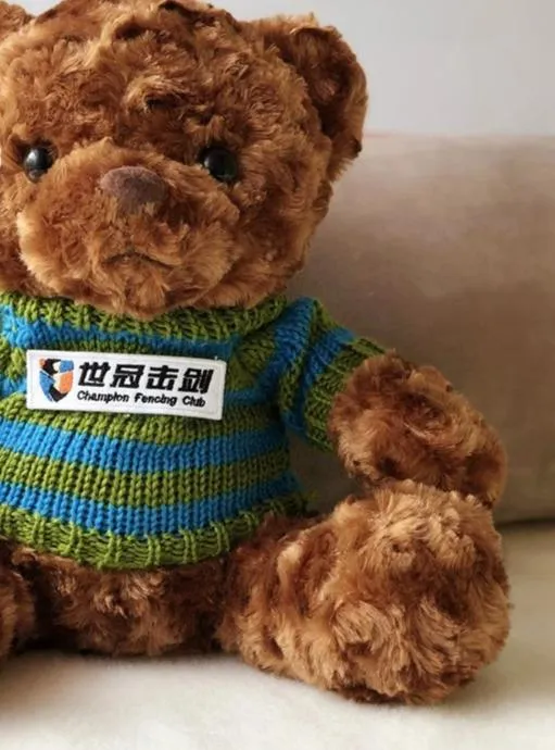 plush toy bear customized