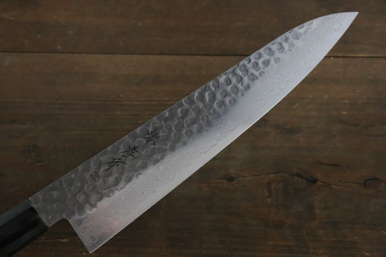 Sakai Takayuki AUS10 45 Layer Damascus Hammered Gyuto 240mm Green Lacquered Handle with Sheath