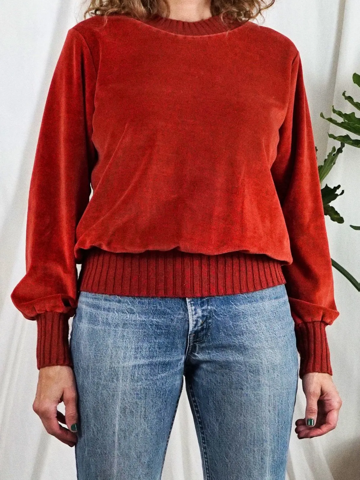 Vintage Sienna Soft Velour Top