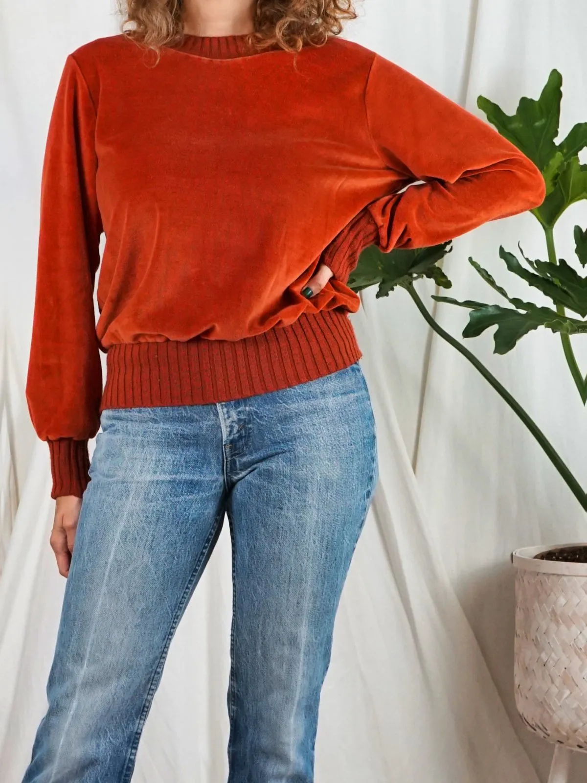 Vintage Sienna Soft Velour Top